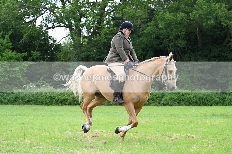 WJ7_2511 - Class 12A Coloured Class
