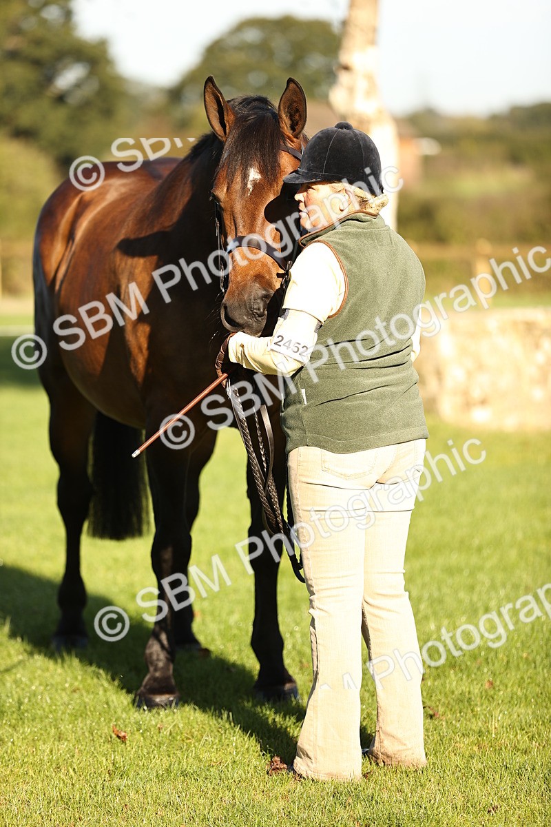 SBM_15719 - S1 - TSR in Hand Horse & Pony Showing