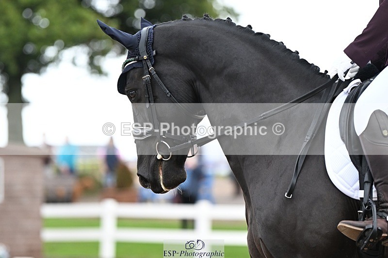 250907-140130-10222 - 064-Katie.MulvihillBilly.Romeo