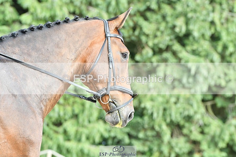 230623-161859-01298 - Cls 7 Medium 69