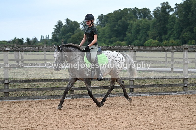 WJ7_9299 - Poles 14:00