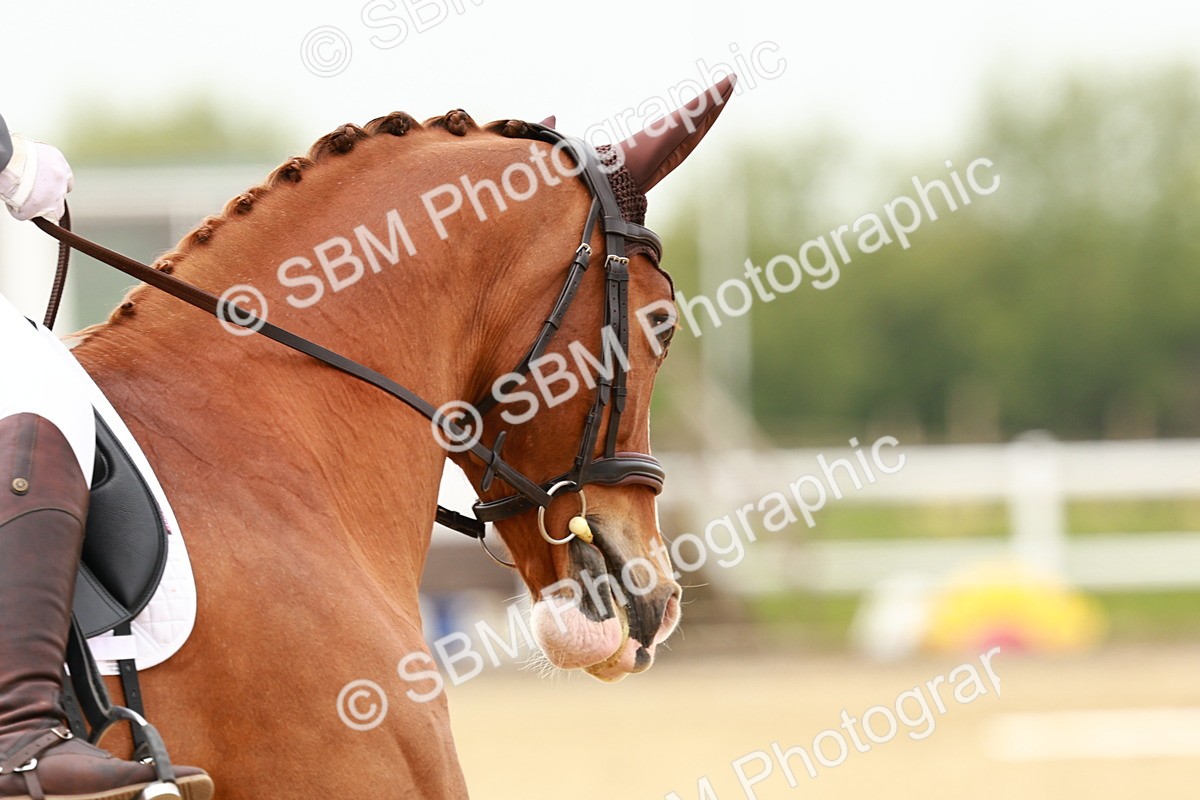 SBM_002002 - Class 9 - Elementary 4