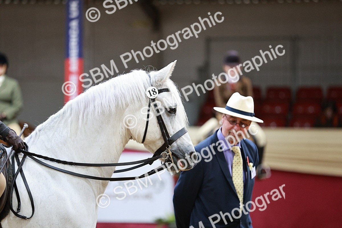 SBM_03628 - Class 6A Area Ridden Pre-Vet