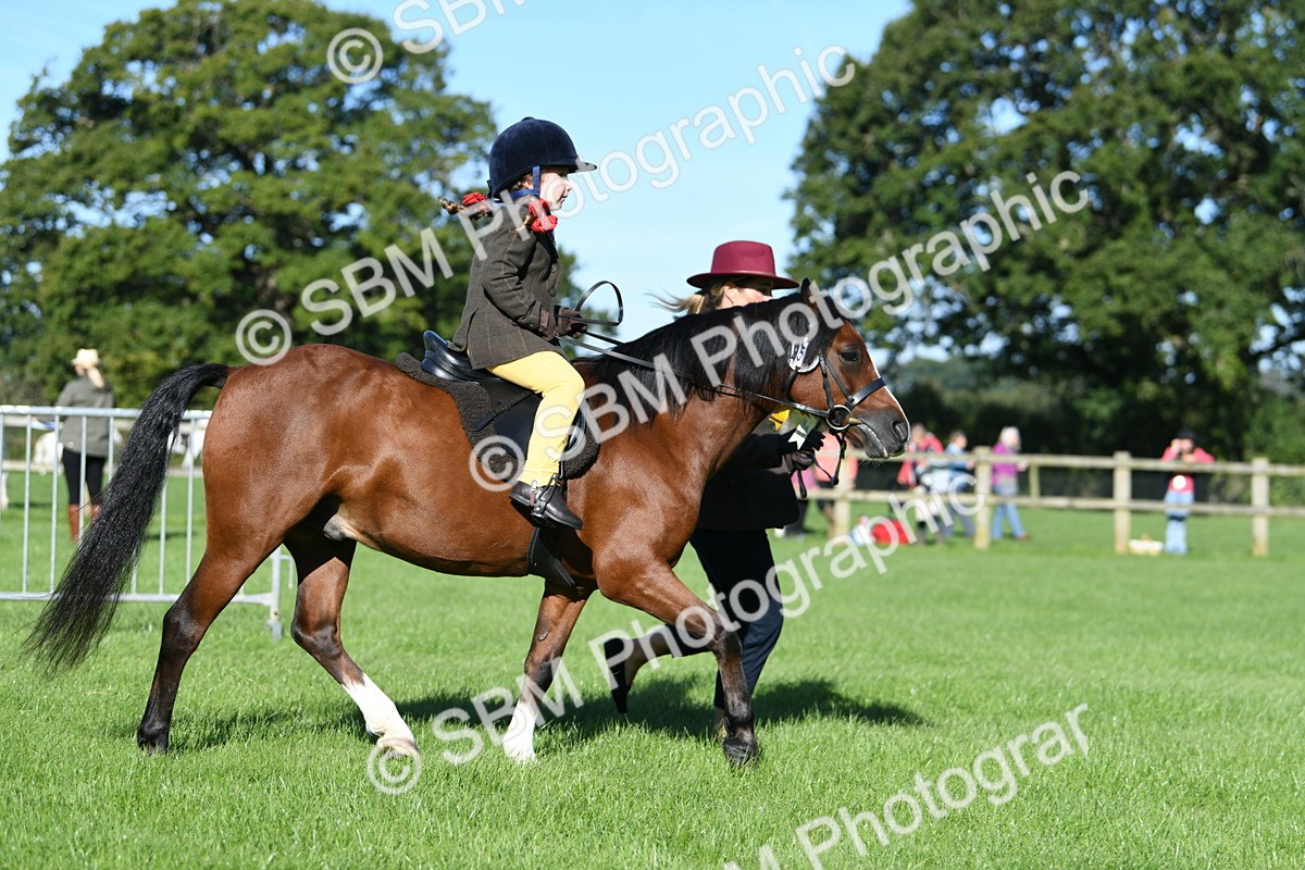 SBM_35522 - S17 - Condition & Turnout - Lead Rein