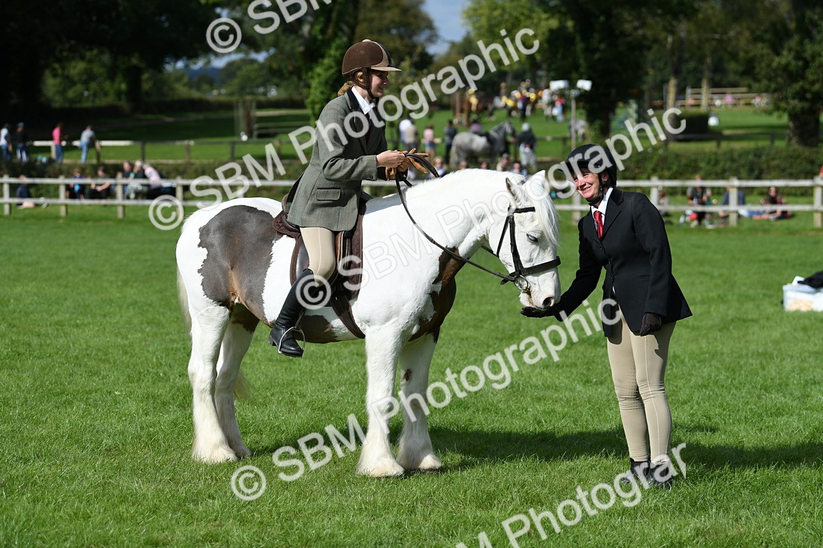 SBM_47022 - S12 - Family Horse & Pony