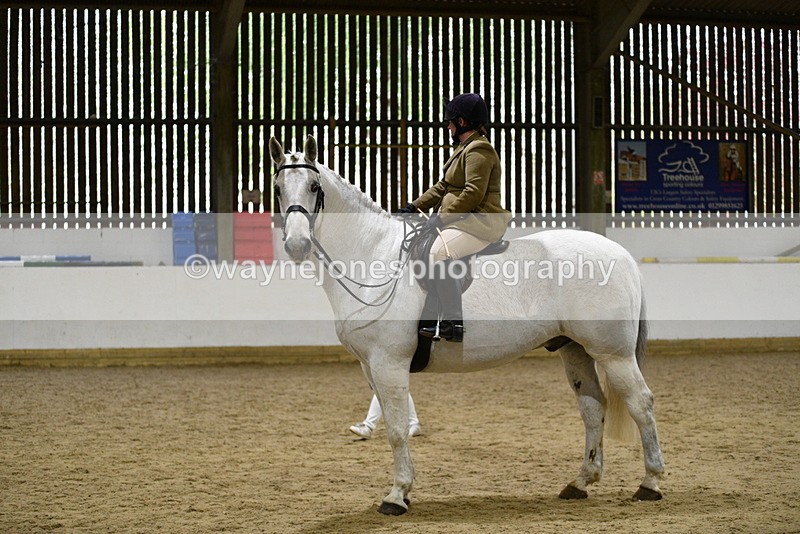 WJ5_9024 - Class 15 Ridden Show Horse