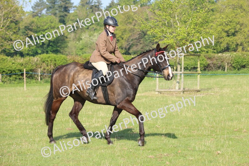 20250427-0497 - Class 17 - Novice Showing
