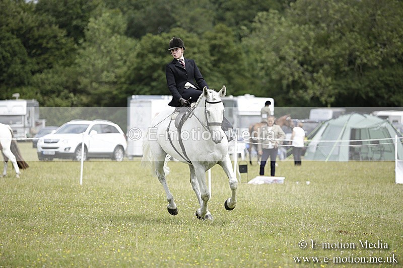 BVR160717-1961 - Side Saddle Classes 16/07/17