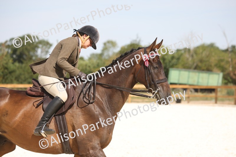 20260802-0723 - Class 8 - Best Riding Horse or Pony
