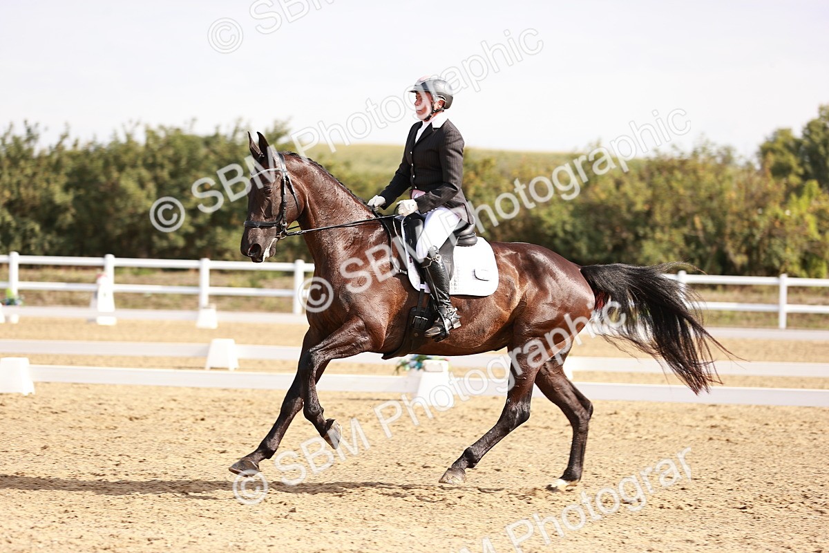 SBM_016997 - Class 10 - Medium 6