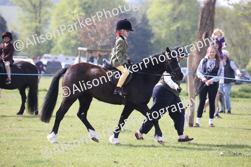 20260426-2498 - Class 31 - Leading Rein
