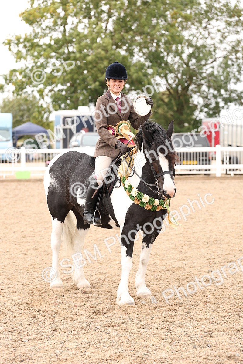 SBM_19731 - Class 216 - Ridden Traditional - Native Cob