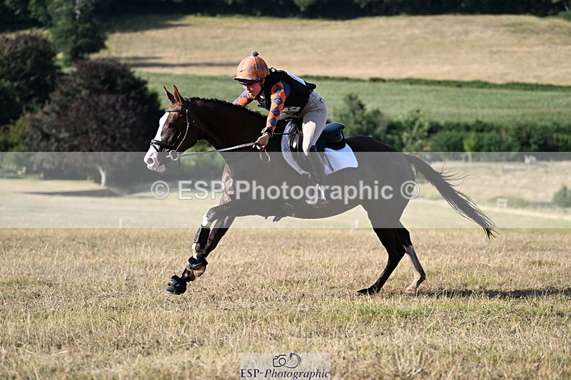 250803A-180354-18589 - R-821-Josephine.Grey-GEMMASTON.ALL.THAT.GLITTERS