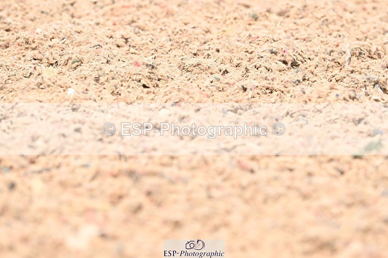 250620-135352-03693 - BD Cls 7 - Elementary 5, Start to 14.40pm