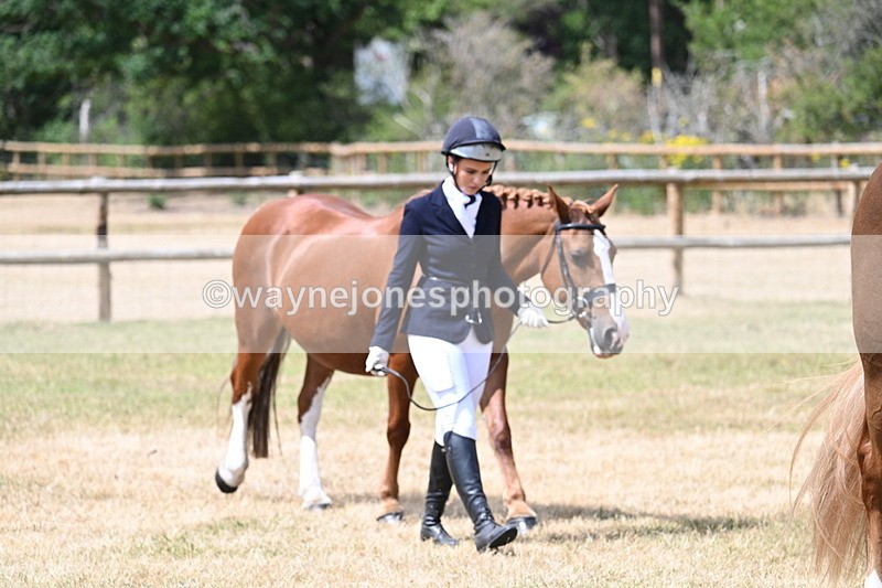 WJ7_1800 - Class 4a Prettiest Mare 14.2hh and over hand