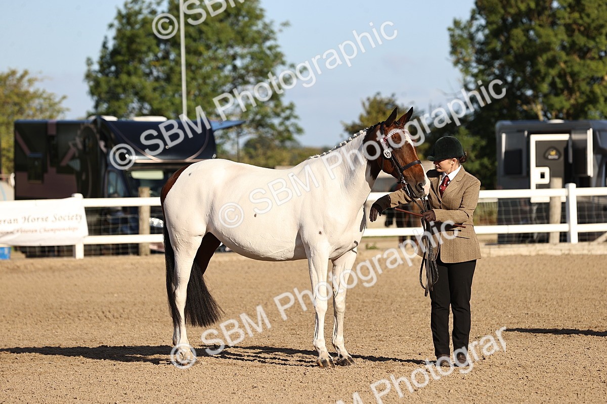 SBM_08350 - Class 401 - IH Veteran Horse