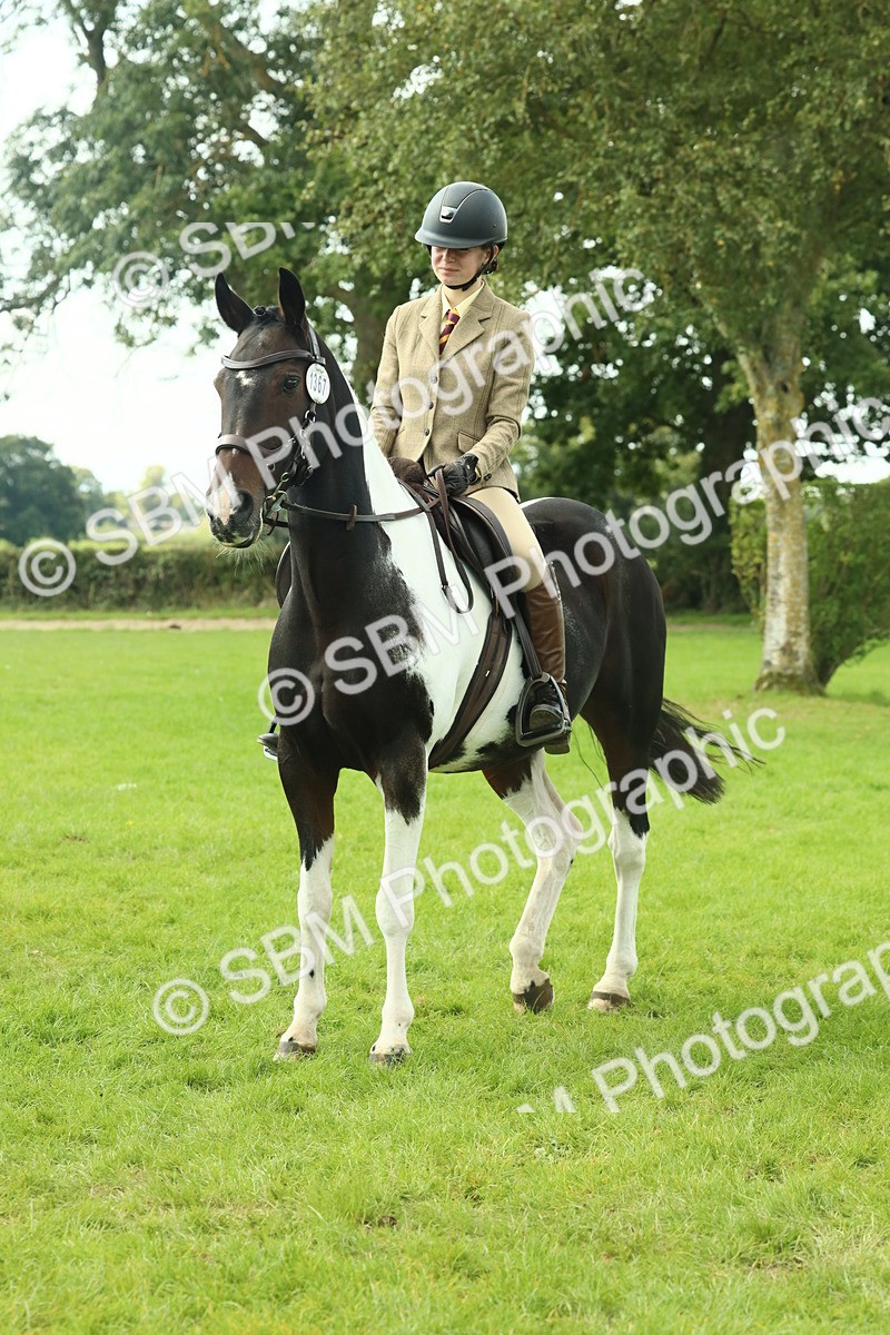SBM_66475 - S34 - Rehabilitated Rescue Horse & Pony In Hand & Ridden
