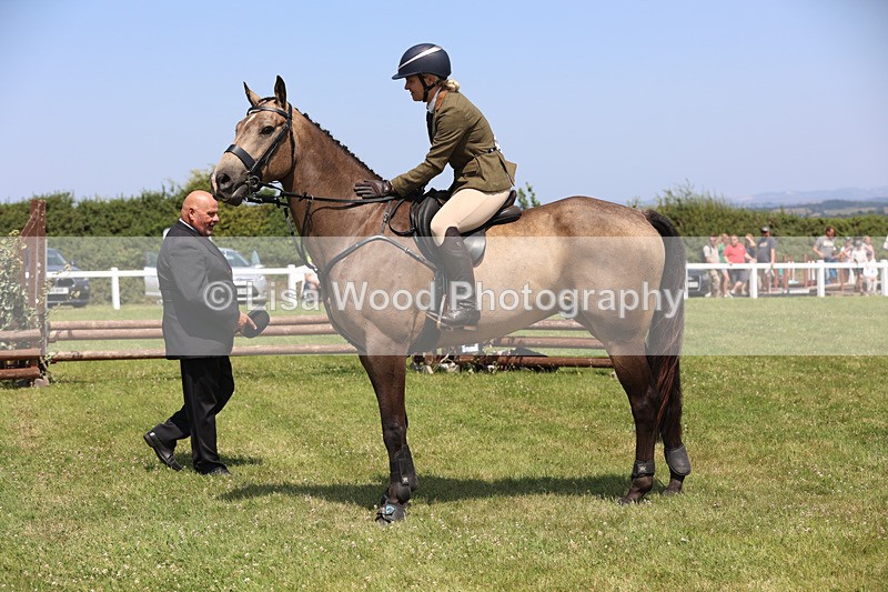 JPP_3116 - Class 22: Working Hunter 70cm