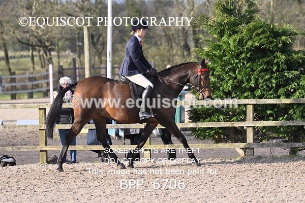 BPP_6706 - RING 1  (RIDDEN HORSES / IN HAND / VETERAN ETC)