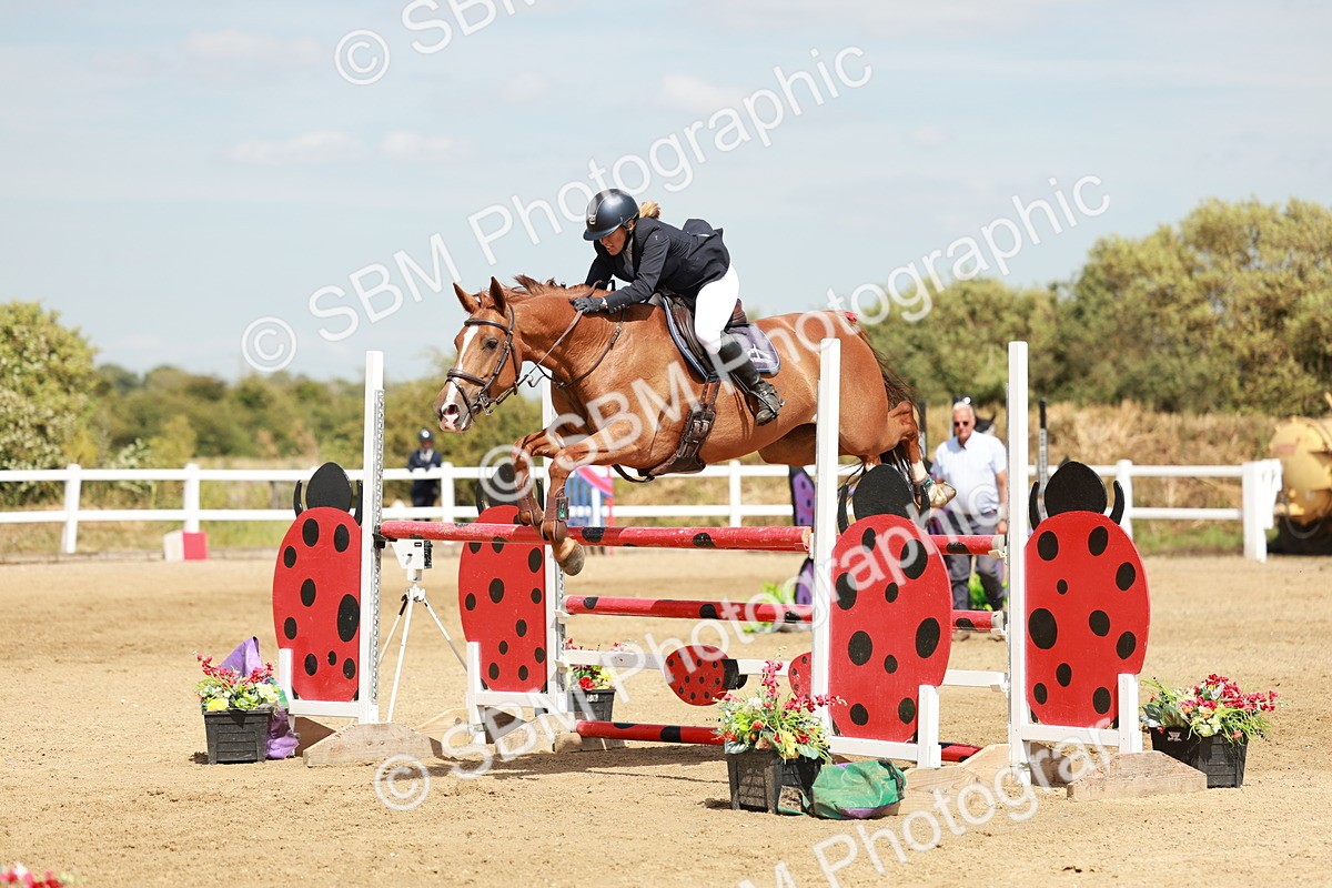 SBM_007952 - Class 4 - Senior Foxhunter - 1.20m Open