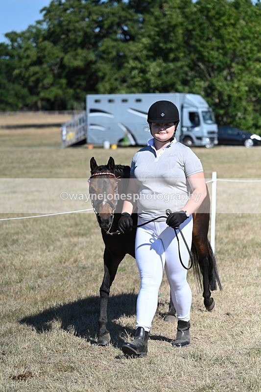 WJ7_1860 - Class 43 Best Six Legs (In hand)