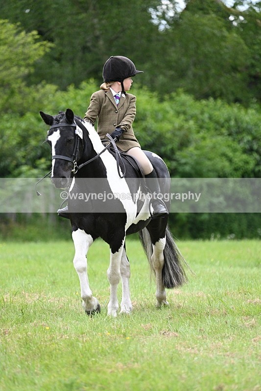 WJ7_2176 - Class 12A Coloured Class