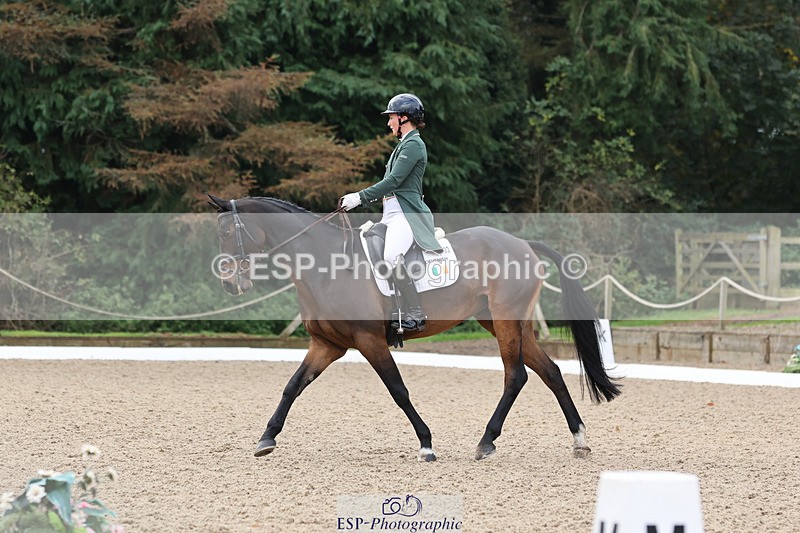 241024-102815-01594 - 133-Susie.Berry-WILD.ATLANTIC.WAY