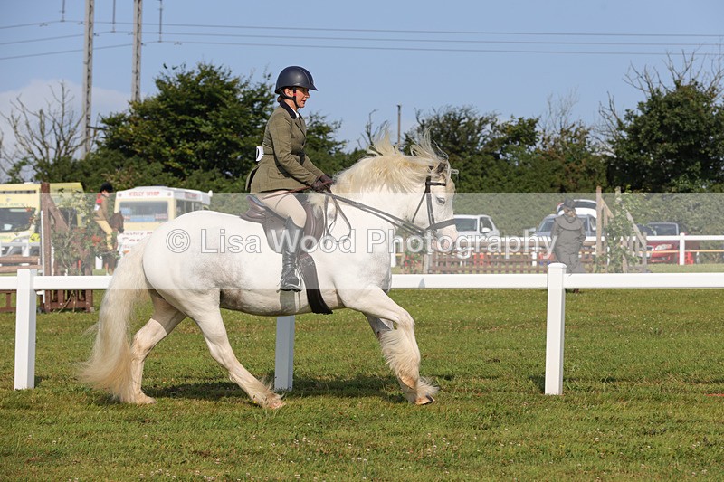 1X9A3244 - Class 28: Ridden Native/Trad Coloured Pony