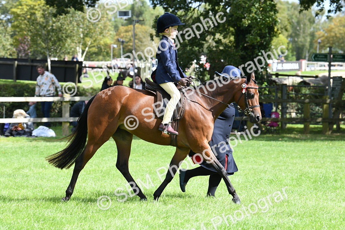 SBM_41219 - S19 - Lead Rein Show & Show Hunter Pony