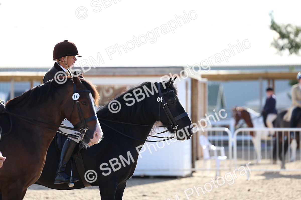 SBM_08916 - Class 302 - Ridden M&M - Large Breeds