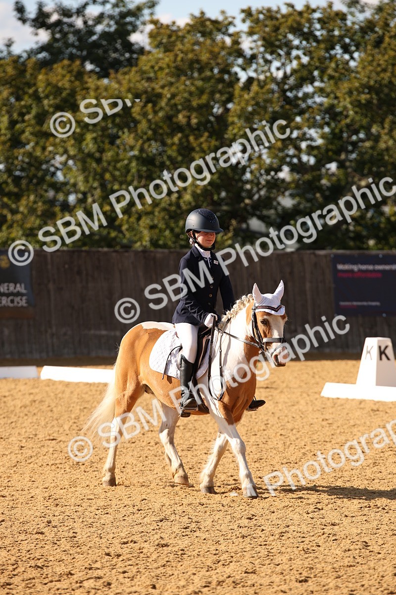 SBM_28200 - D11 - Small Tour Championship - Prelim 13