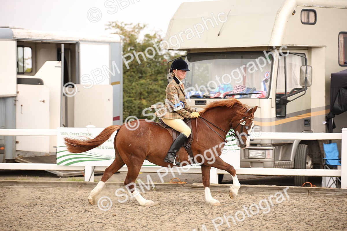 SBM_12290 - Class 405a - M&M Working Veteran 50cm (15-19)