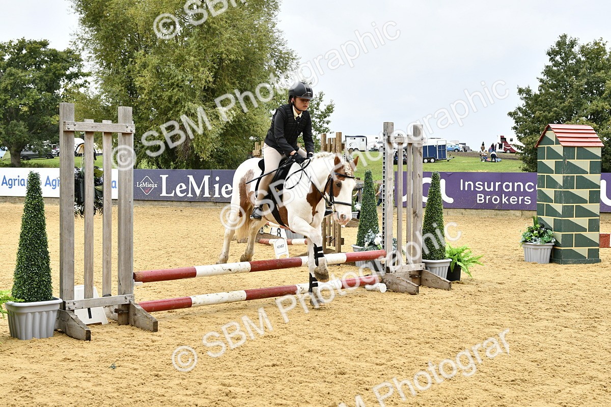 SBM_60543 - J61 - Mini Clear Round 30cm & 40cm