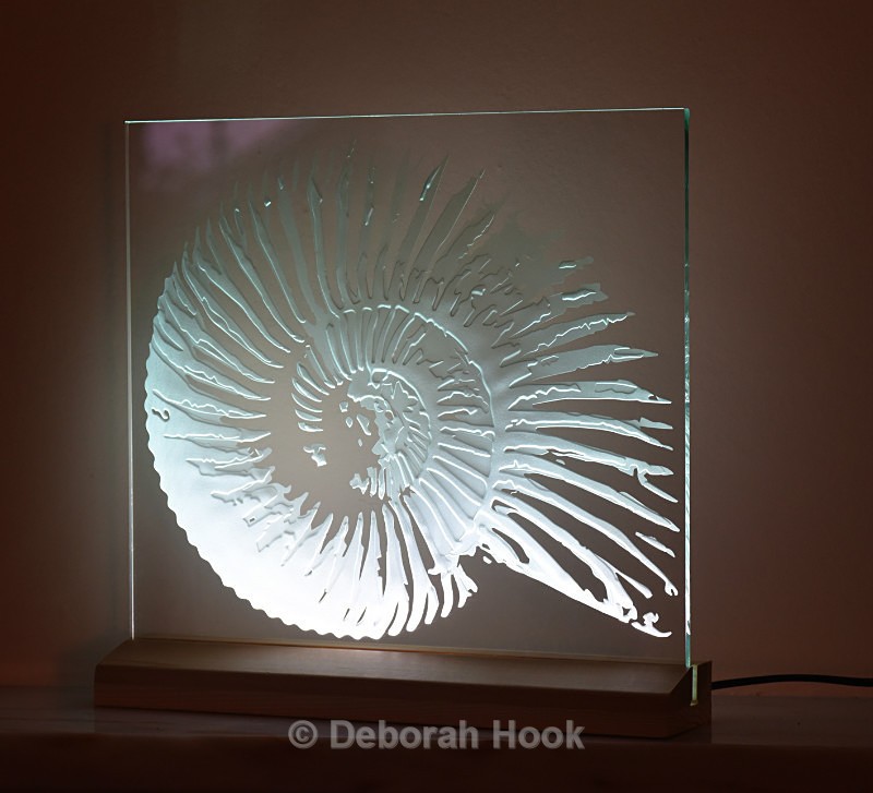 New ammonite 2, shown angled - Glass