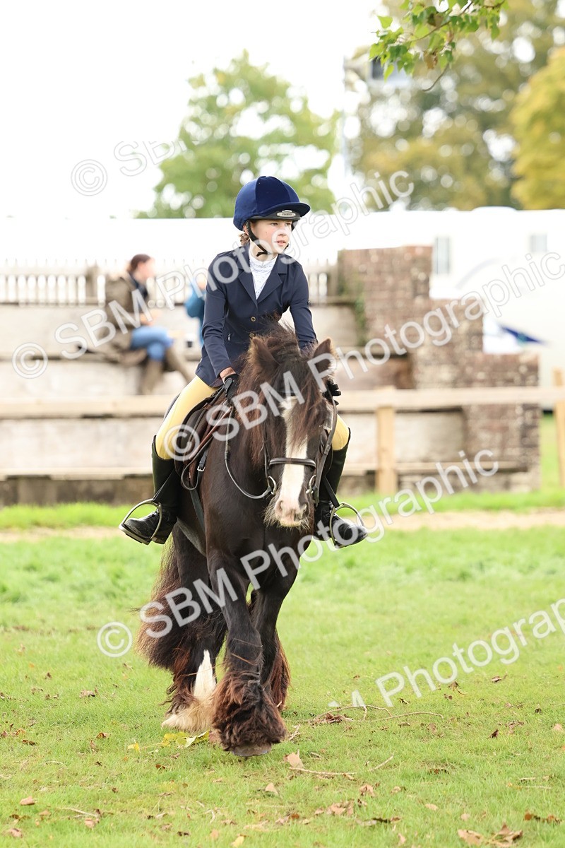 SBM_67557 - S60 - Mini Show Cob Ridden