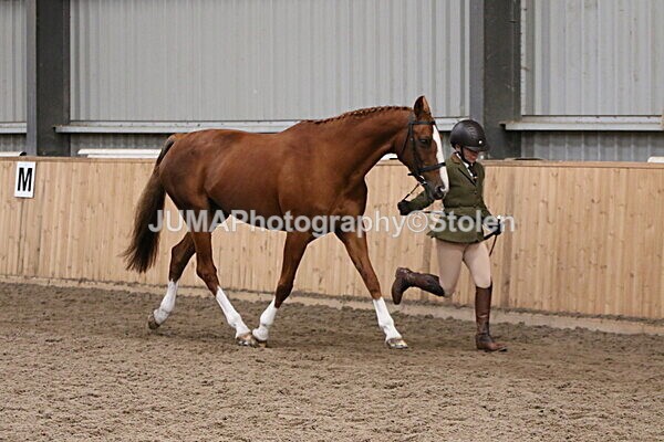 SIAL2129 - sunday 14th Set In Hand