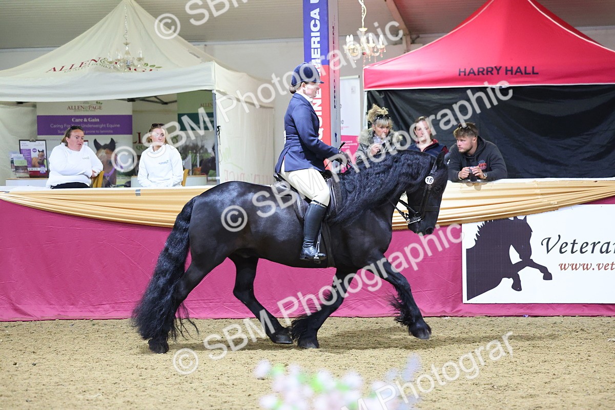 SBM_19280 - Class K Equitation Champ
