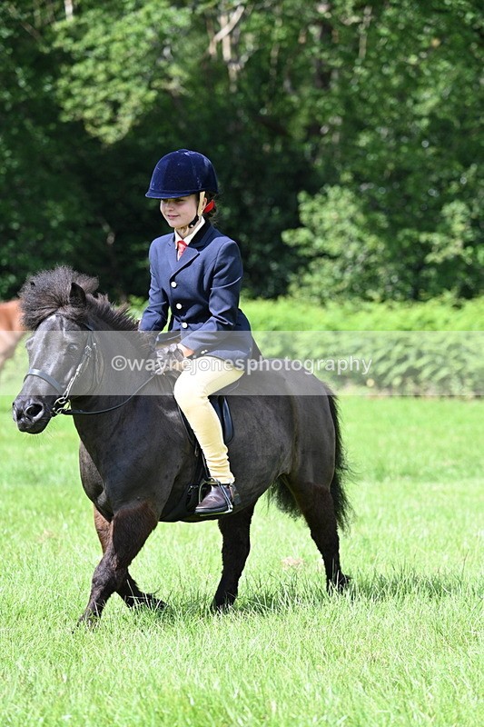 WJ7_1270 - Class 11 Condition & Turnout