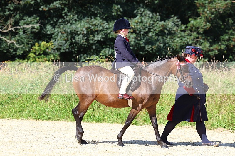 3E7A8008 - Class 15: Lead Rein