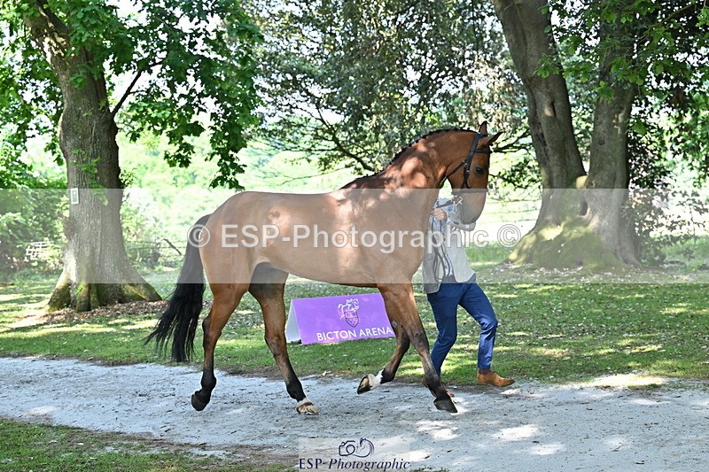 250521A-154539-00738 - B-363-Tom.D.Crisp-BLS.ABSOLUTELY