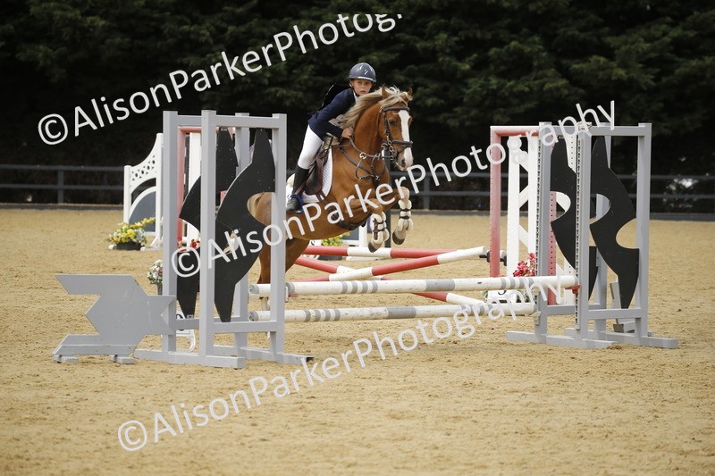 20250622-5931 - 60cm