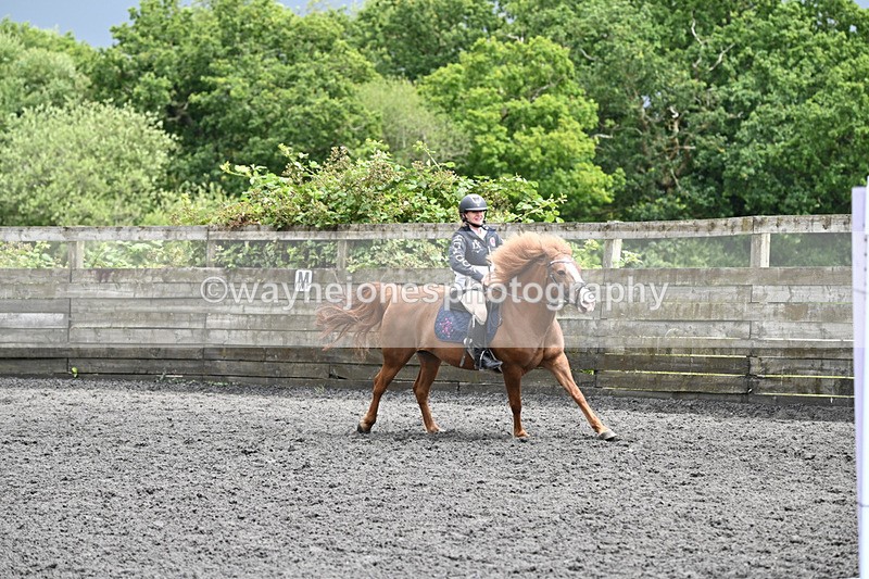 WJ6_0214 - Class 13 Novice 60cm