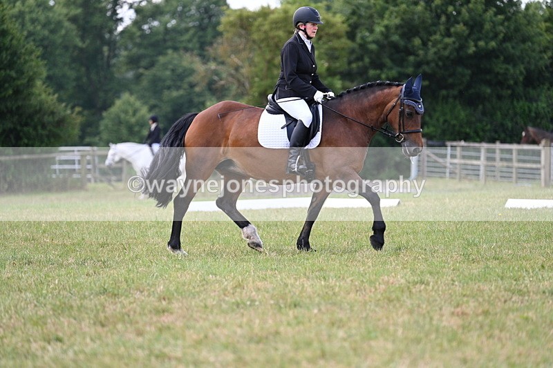 WJ7_5315 - Time 11:22 to 11:51