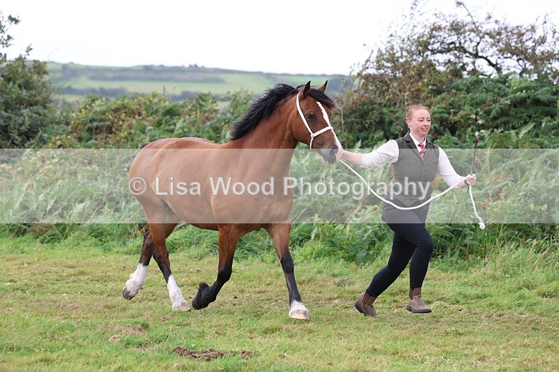 3E7A4561 - Class 16: Best Grass Kept