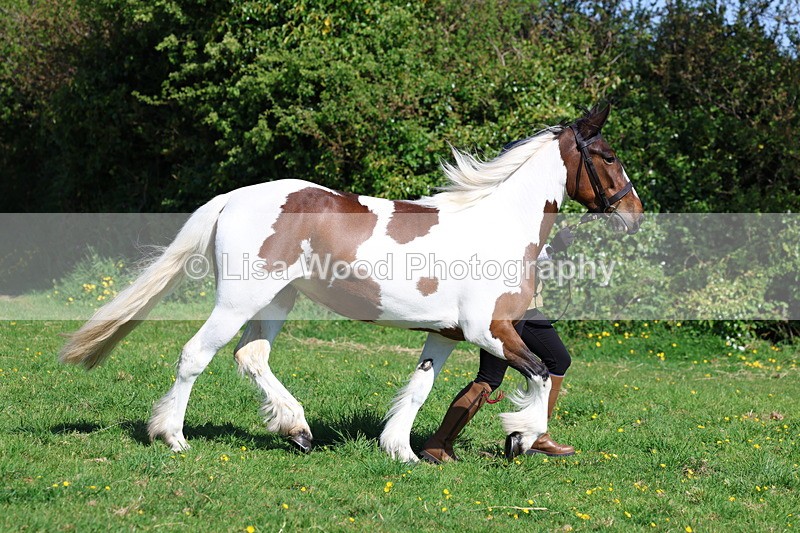 3E7A9369 - Class 16: Best Grass Kept