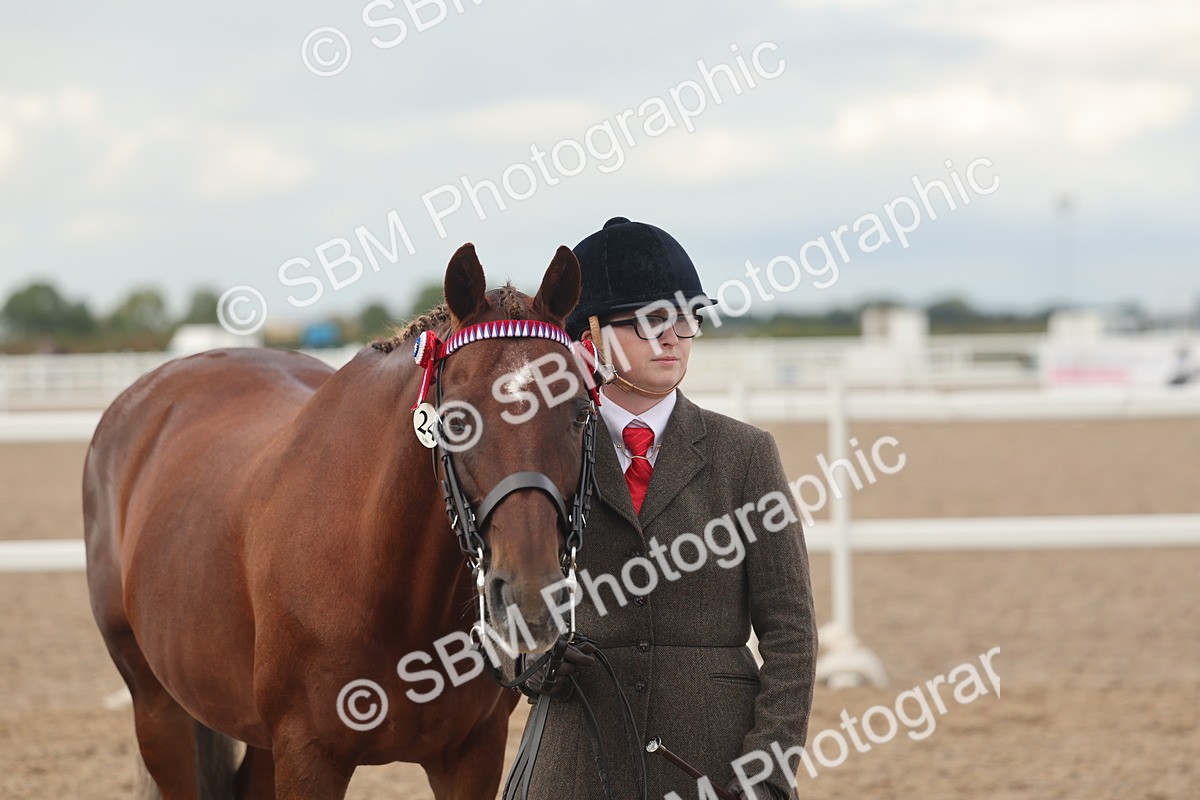 SBM_08525 - Class 29 - IH Veteran Pony