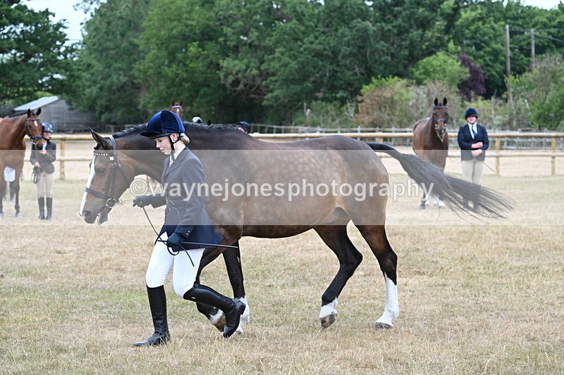 WJ7_0100 - Class 5a Most Handsome Gelding (above 14.2hh)