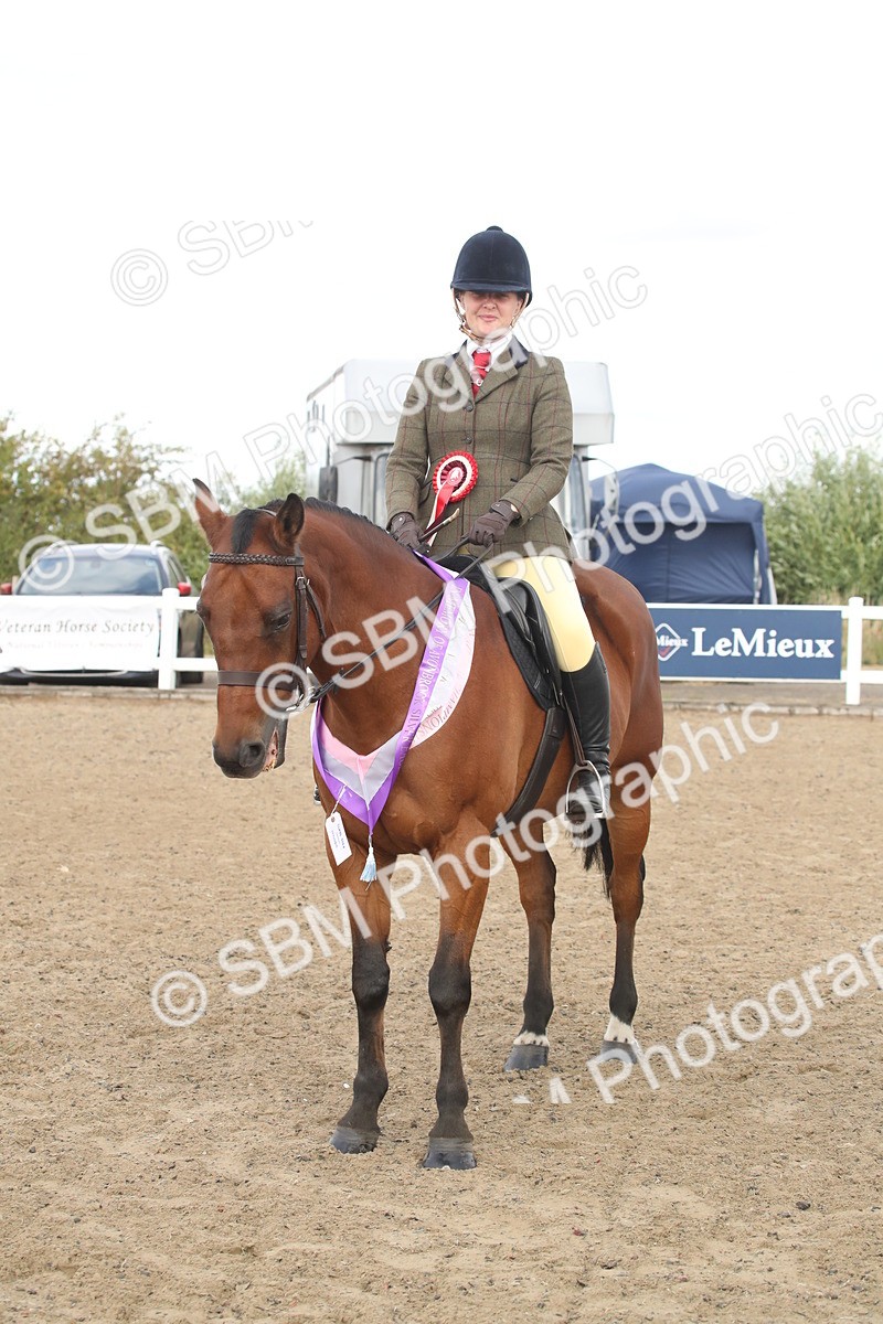 SBM_15243 - Class 506a - Working Veteran - 50cm (15-19)