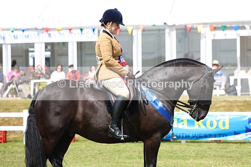 3E7A0693 - Rising Star Ridden Championship