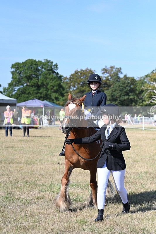 WJ7_3310 - Class 8 Ridden Tack & Turnout